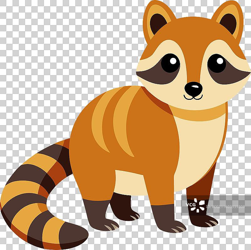 可爱的浣熊科啮齿动物图片素材