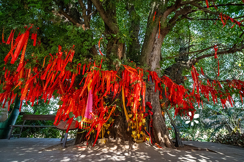 临沧双江县景亢傣族民族民俗风情村的许愿树图片素材