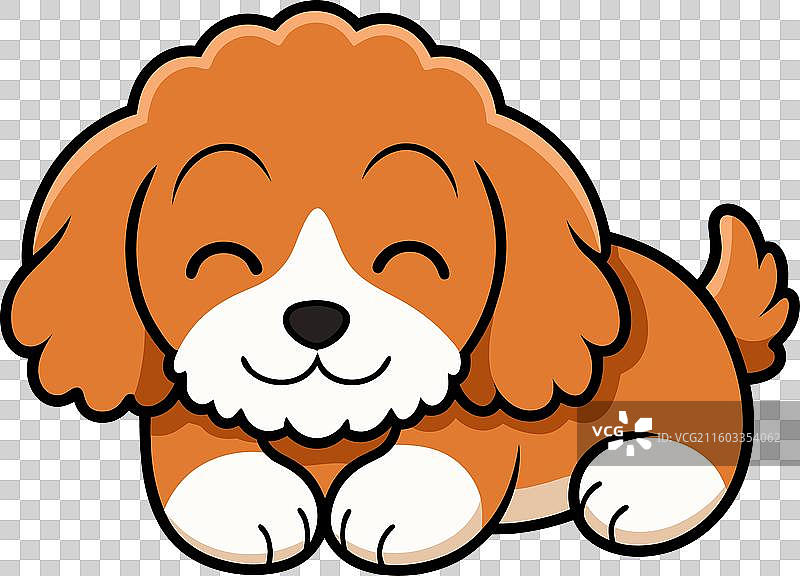 卡布豆犬正在可爱地睡觉图片素材