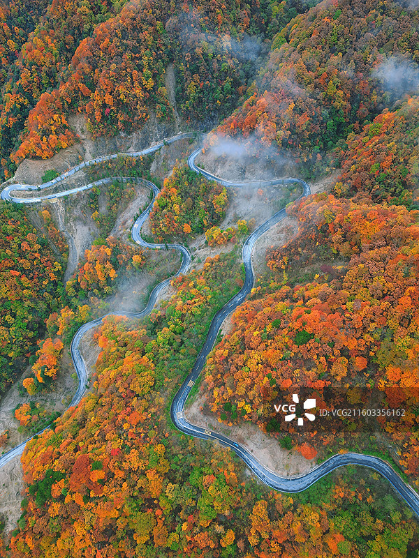 彩林如画图片素材