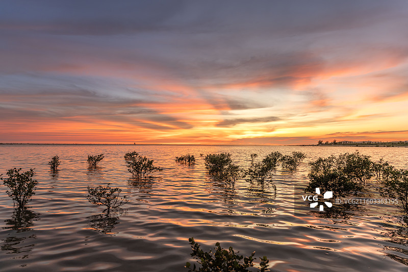 北海银滩红树林风光：晚霞映水，静谧海岸图片素材