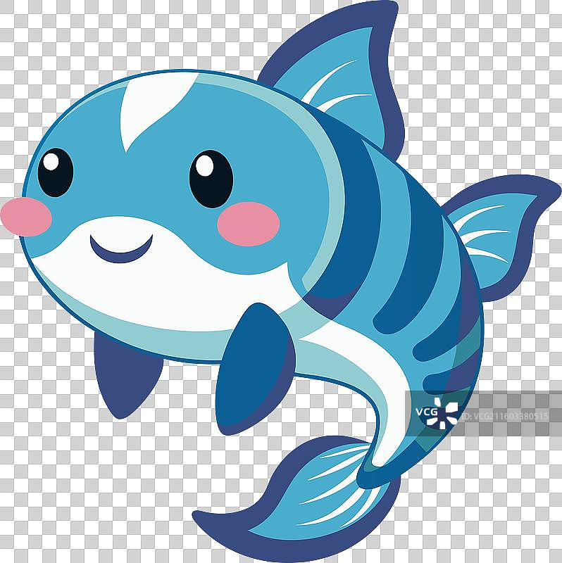 腔棘鱼看起来很可爱图片素材