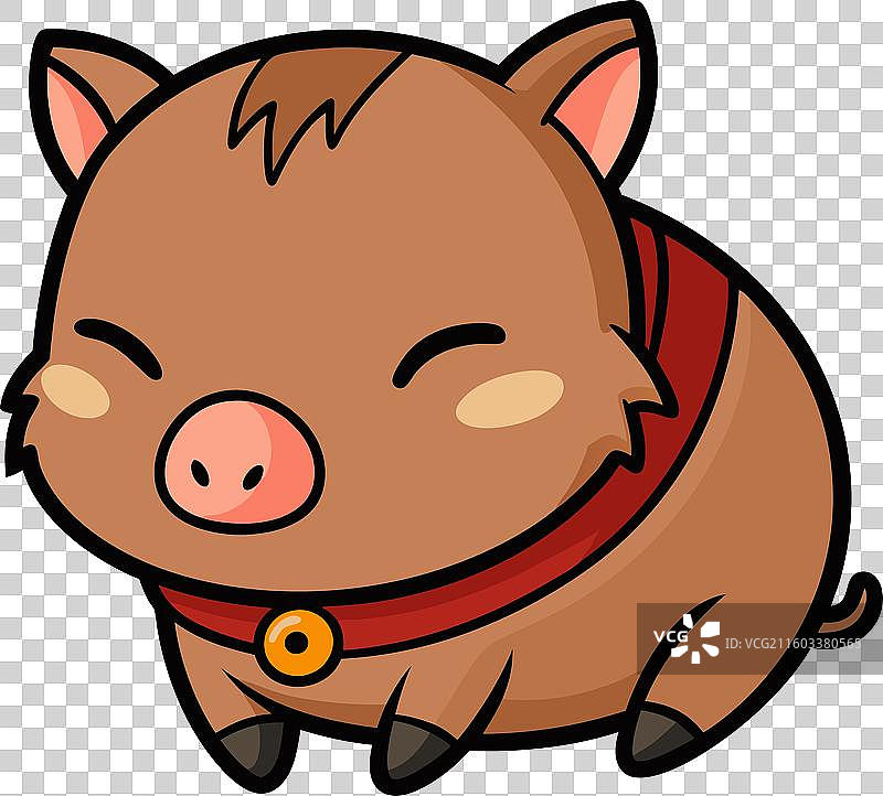 带项圈的野猪可爱地睡着了图片素材