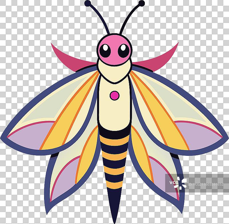 卡哇伊彗星蛾图片素材