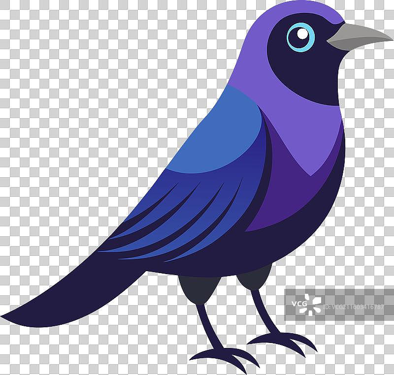 非常可爱的普通鹪鹩图片素材