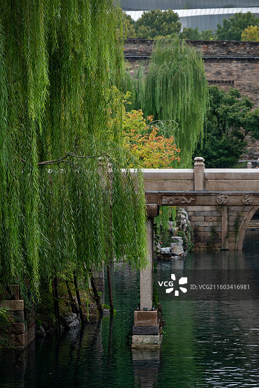 济南明水古城的秋天图片素材