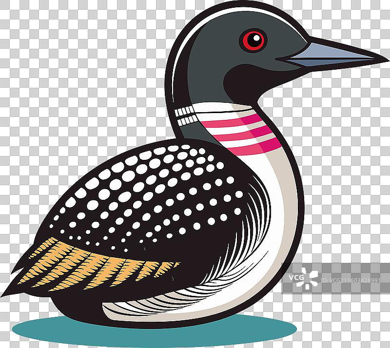 一只普通潜鸟在学习卡哇伊图片素材