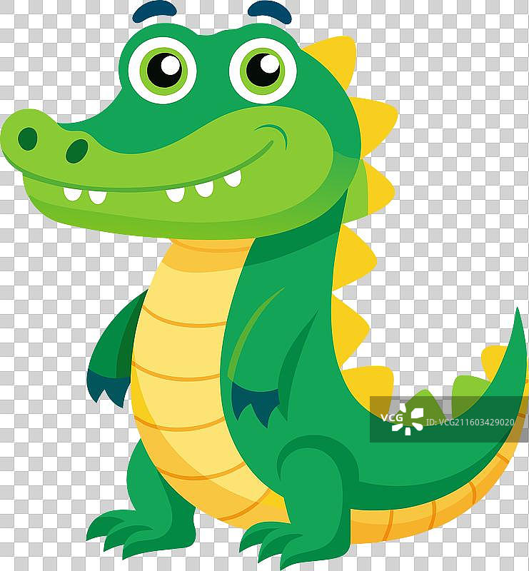 蝾螈蜥蜴玩耍可爱图片素材