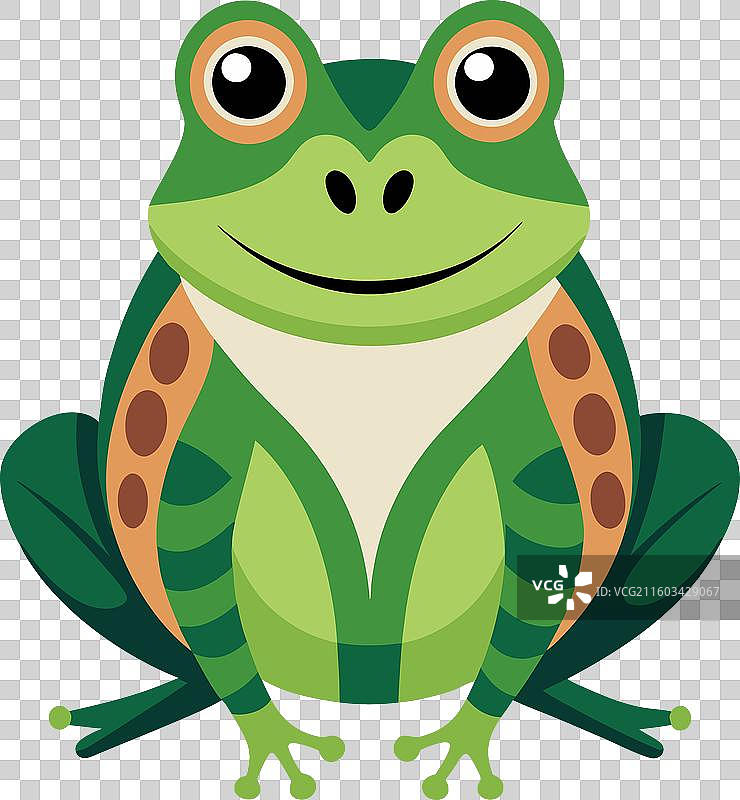 一只普通蝾螈蜥蜴，可爱地坐着图片素材