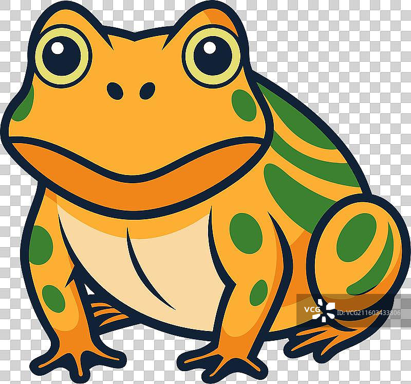 常见的蟾蜍青蛙 卡哇伊图片素材