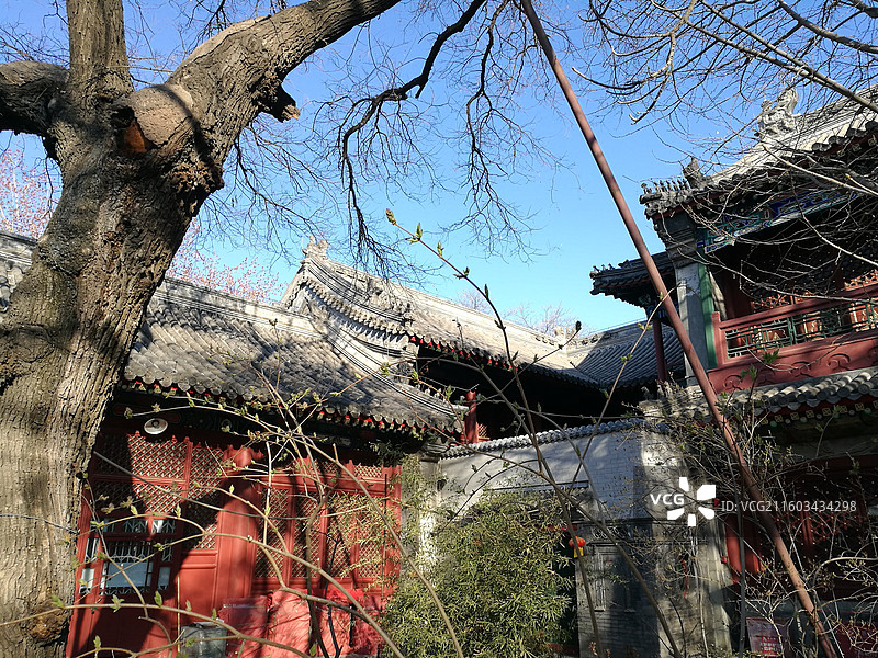 北京市北京法源寺卧佛殿中国佛学院图片素材
