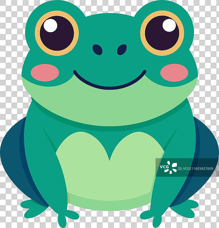 一只可爱的普通蟾蜍在阅读图片素材