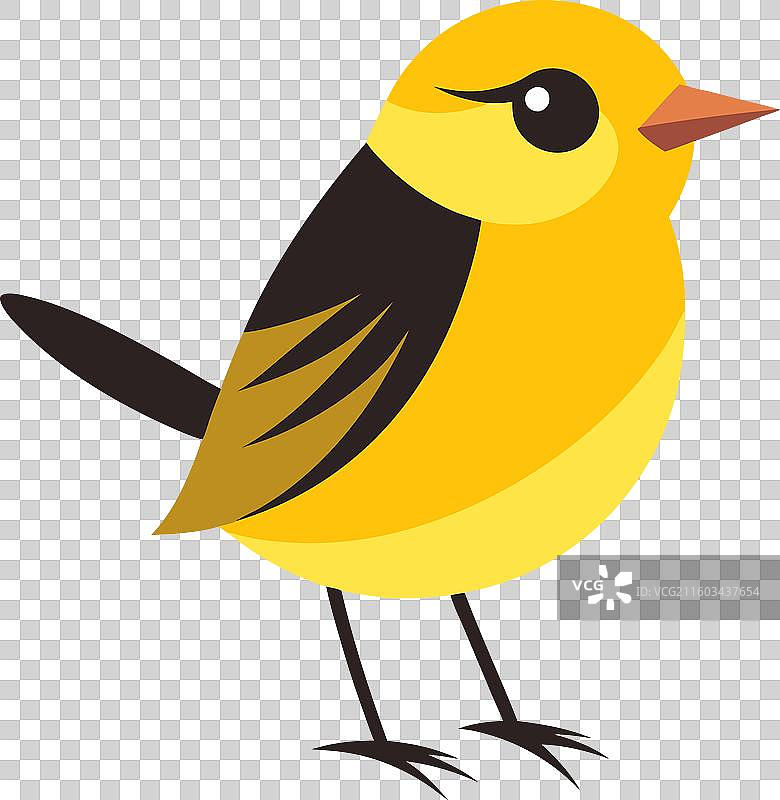 黄喉拟莺，可爱图片素材