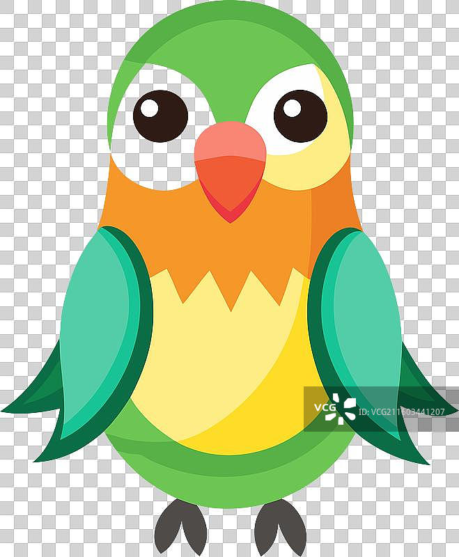 可爱的锥尾鹦鹉坐着图片素材