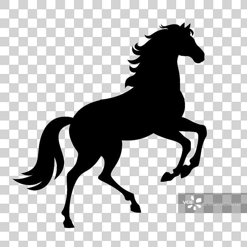 国风2026马年十二生肖马黑色剪影插画图片素材