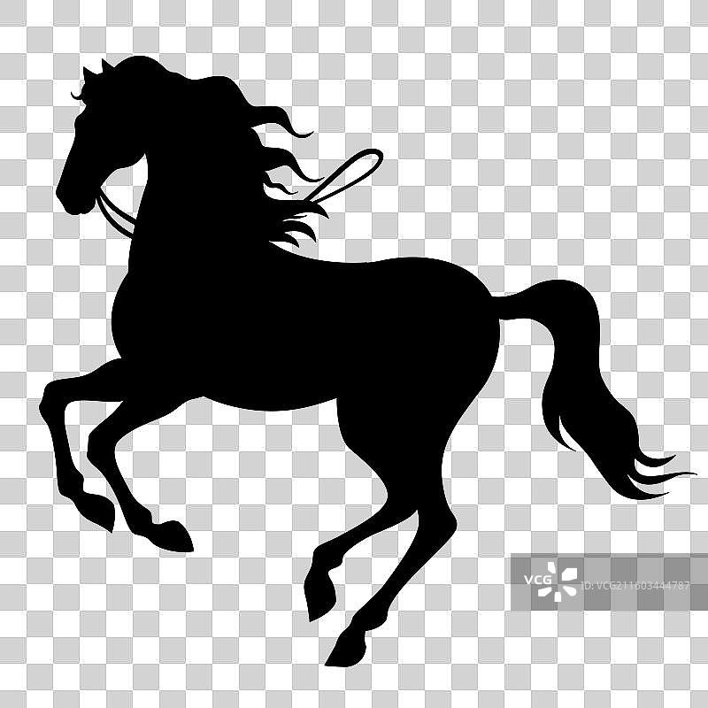 国风2026马年十二生肖马黑色剪影插画图片素材