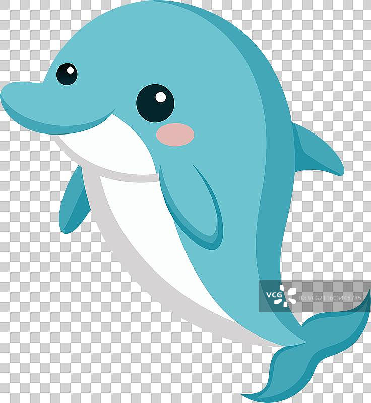 可爱的虎鲸鲨，表情愤怒图片素材