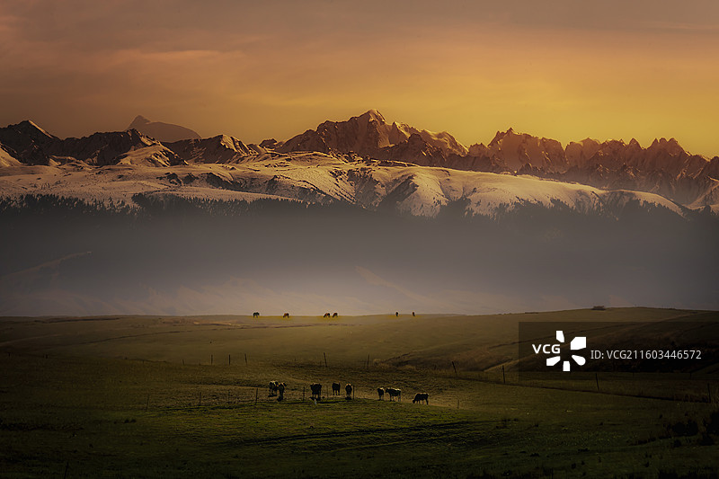 天山牧场风光图片素材
