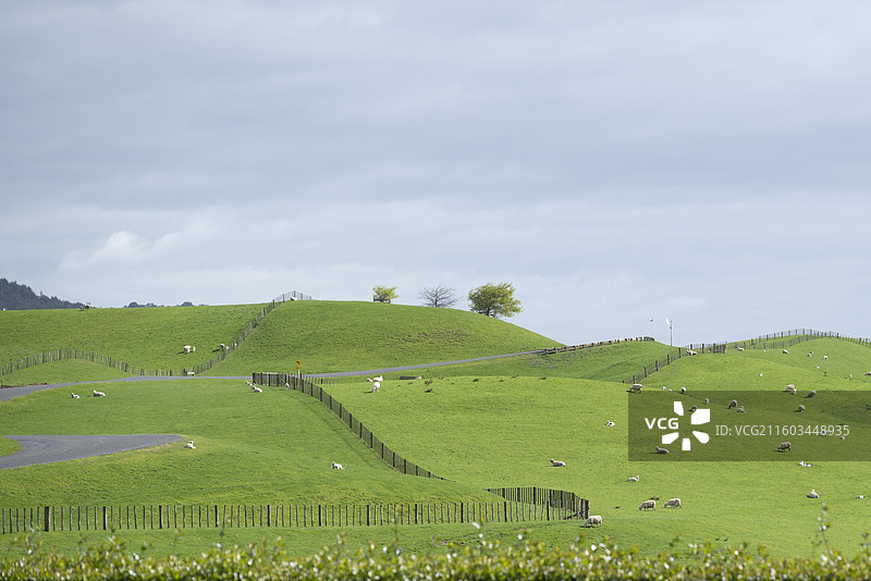 霍比特人村图片素材