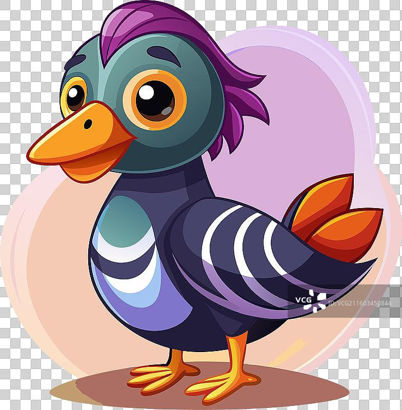 可爱的水鸭图片素材