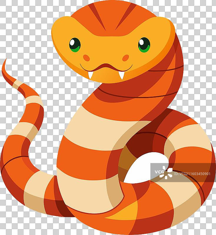 可爱的铜头蛇图片素材