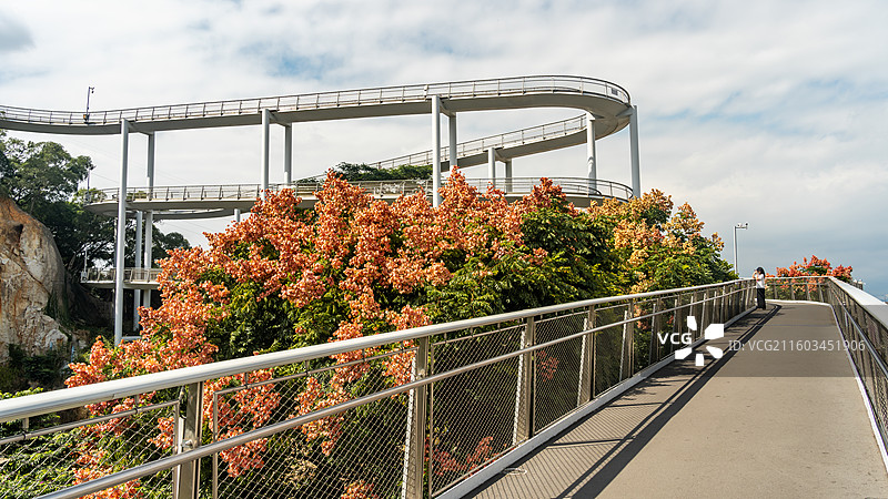 厦门山海步道和栾树图片素材