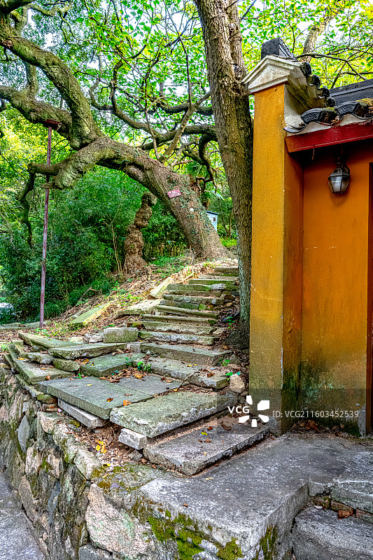 普陀山海天佛国 祥慧净院 院庙小门通往山林深处 祥慧庵 尼姑庵图片素材
