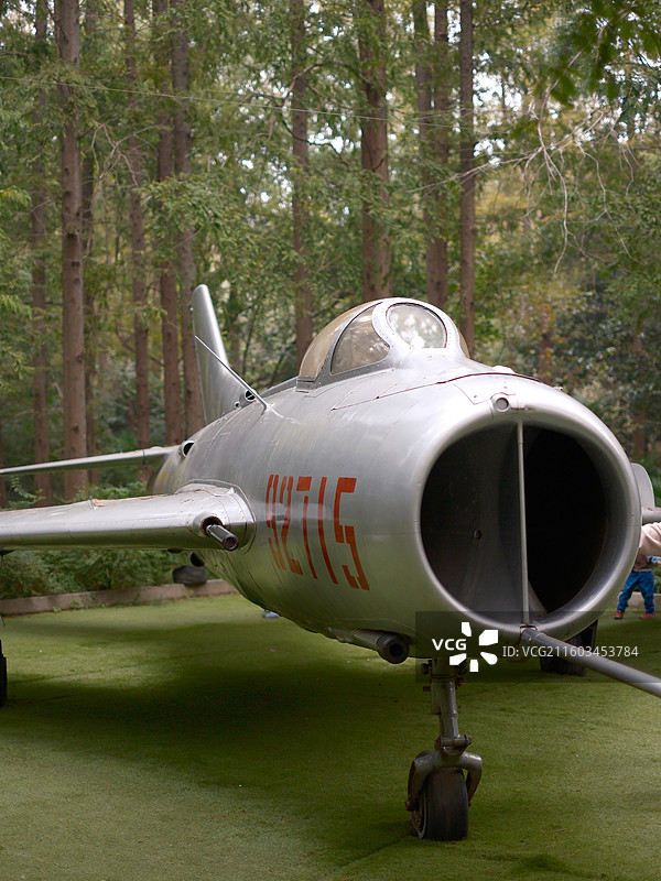 上海崇明东平国家森林公园图片素材