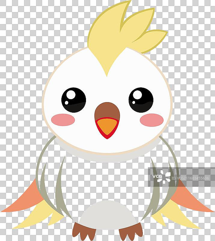 可爱的葵花凤头鹦鹉坐着图片素材