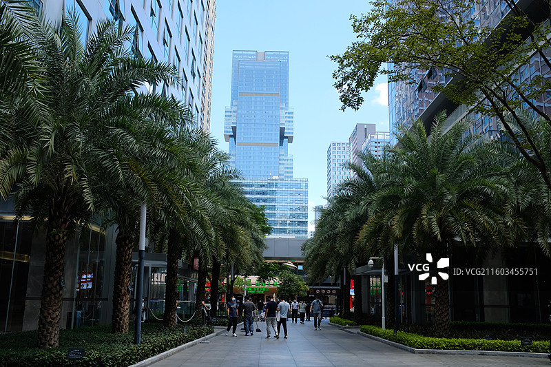 现代都市街道 留仙洞图片素材