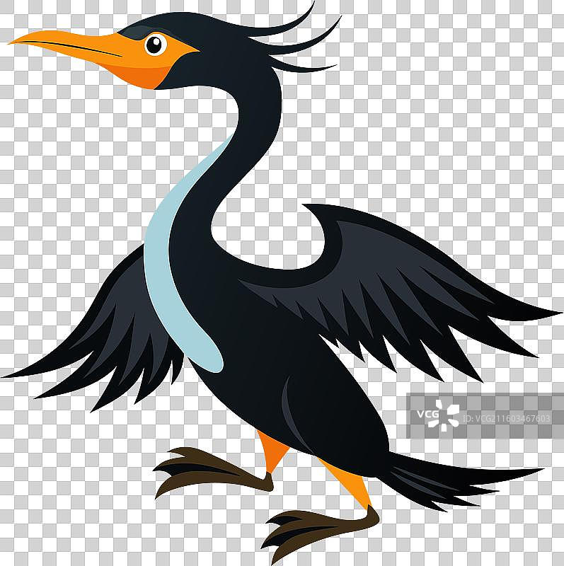 可爱的鸬鹚图片素材