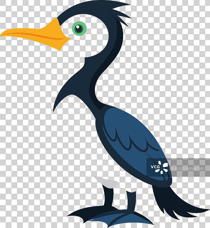 可爱的小鸬鸊鷉图片素材