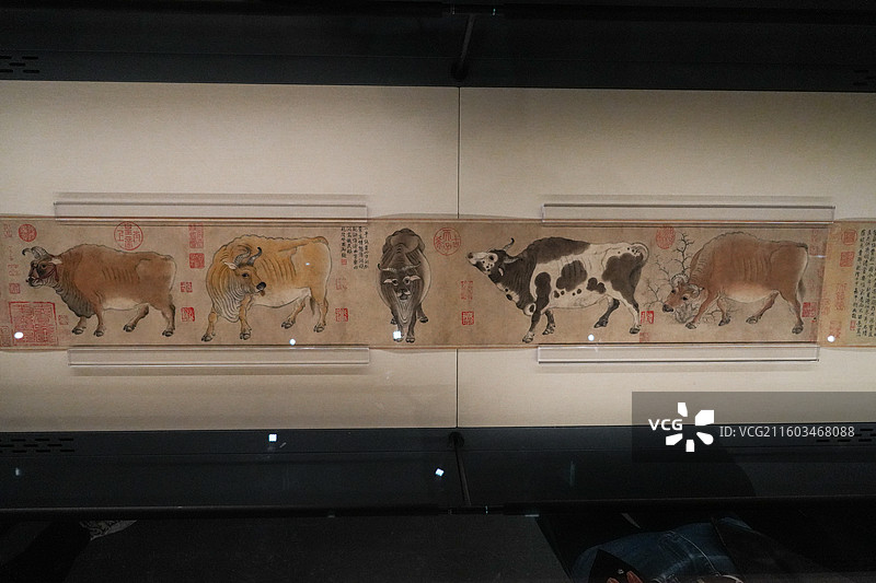 北京故宫博物院“百年守护-从紫禁城到故宫博物院”展览现场韩滉《五牛图》真迹实拍图片素材