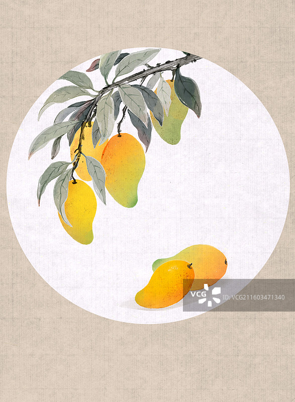 国画水果芒果图片素材