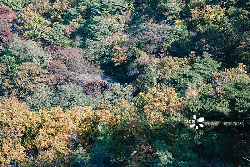 韩国 首尔 南山图片素材