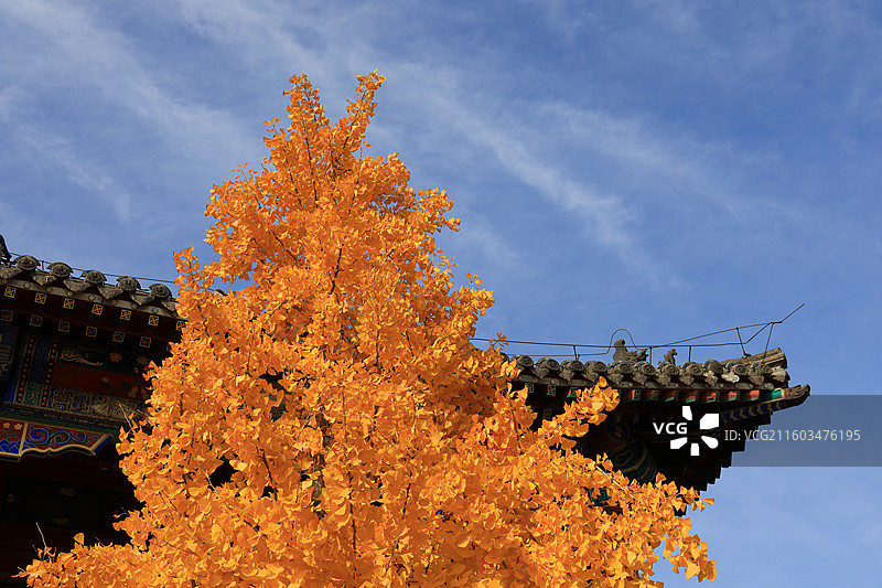 正定古城荣国府图片素材