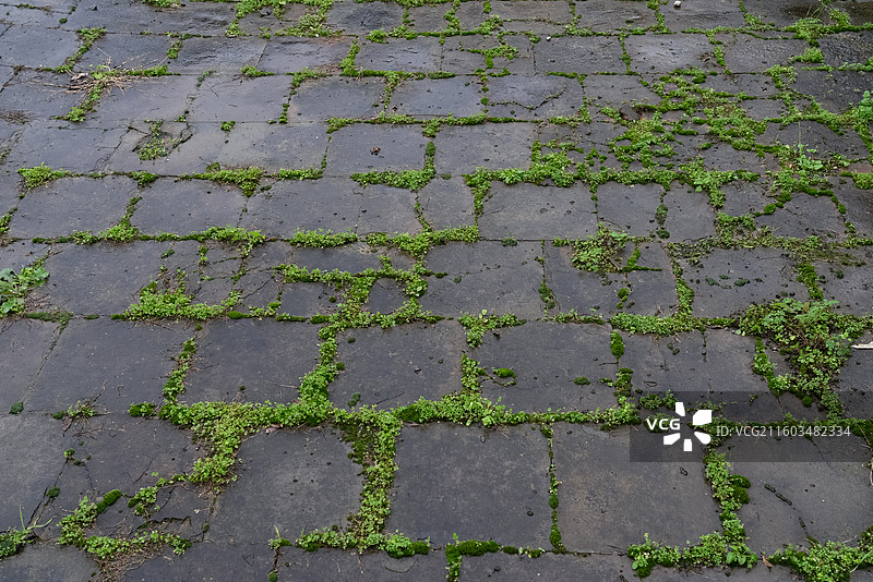 武当山五龙宫历史文物砖铺地面苔藓图片素材