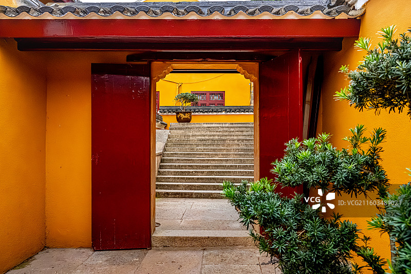 罗汉松与庙门 普陀山海天佛国 梵音古洞 梵音洞 普陀十二胜景图片素材