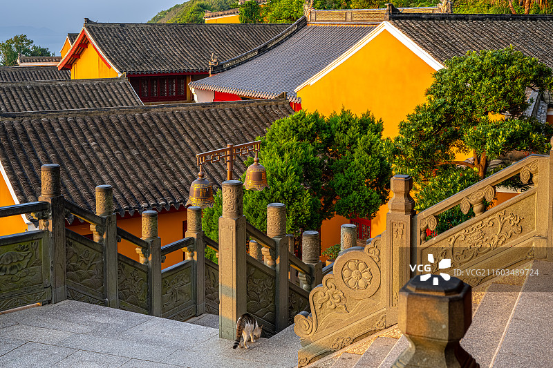 梵音古洞 梵音洞 普陀山海天佛国 日出时分朝阳照亮寺庙 普陀十二胜景图片素材