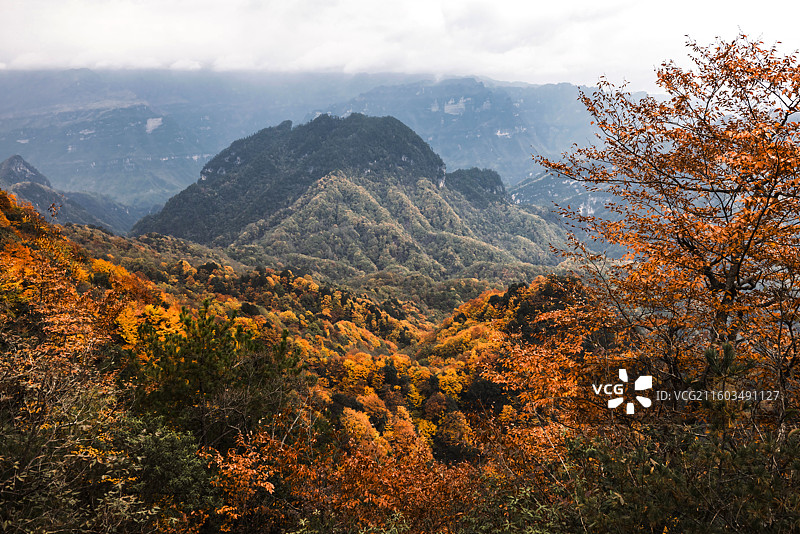 层林尽染 拍摄于四川省南江县十八月潭景区图片素材