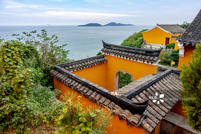 猫蹲在佛家寺庙屋檐上 普陀山海天佛国 梵音古洞 梵音洞 普陀十二胜景图片素材