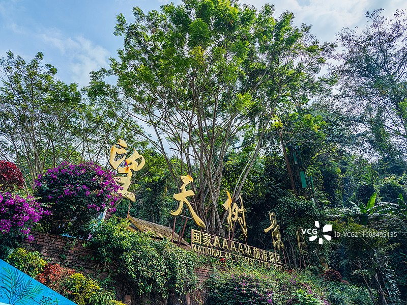 云南省西双版纳州勐腊县望天树景区图片素材