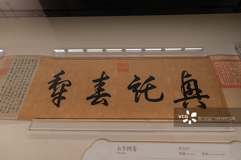 故宫百年展唐韩滉五牛图卷图片素材