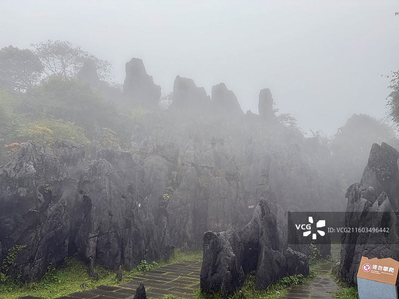 四川华蓥市森林公园里的石林景观图片素材