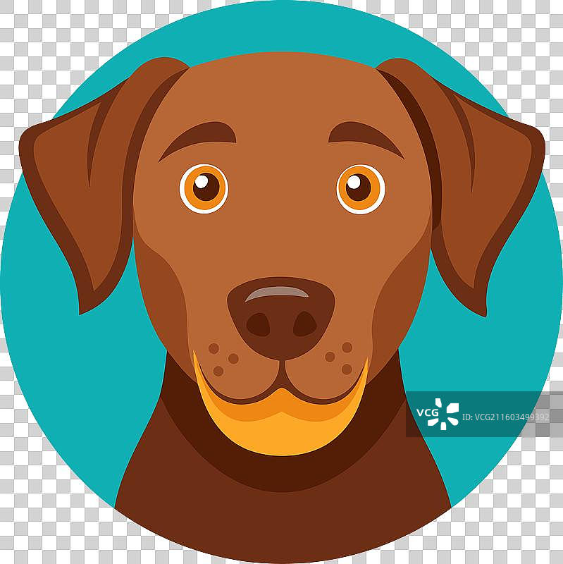 可爱的土狼睡着了图片素材