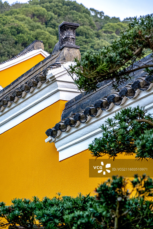 梵音古洞 梵音洞 罗汉松与马头墙 普陀山海天佛国 日出时分朝阳照亮寺庙 普陀十二胜景图片素材