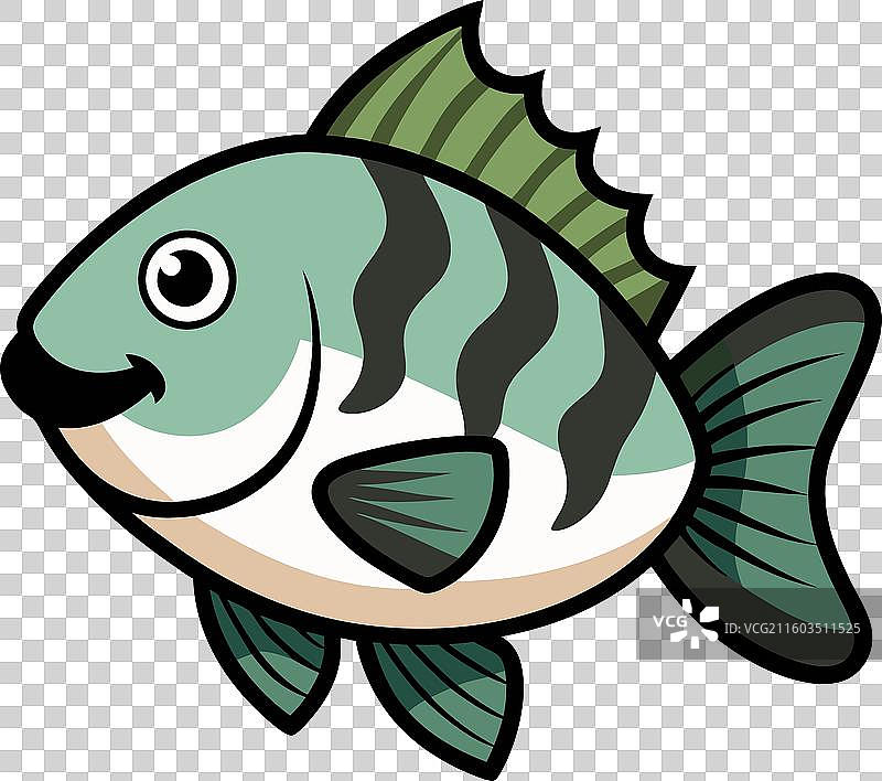 可爱的白斑狗鱼在学习图片素材