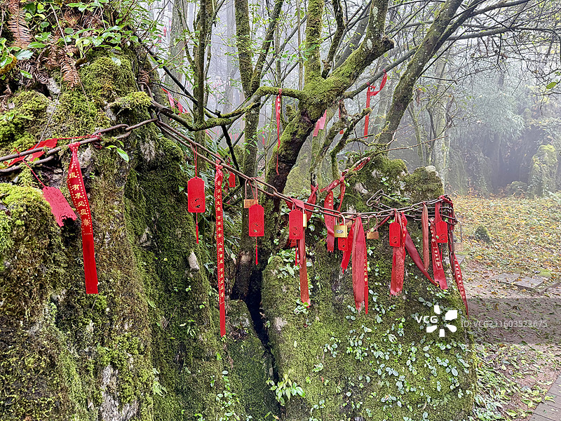 华蓥山森林公园祈福林里挂祈福红丝带，系祈福牌图片素材