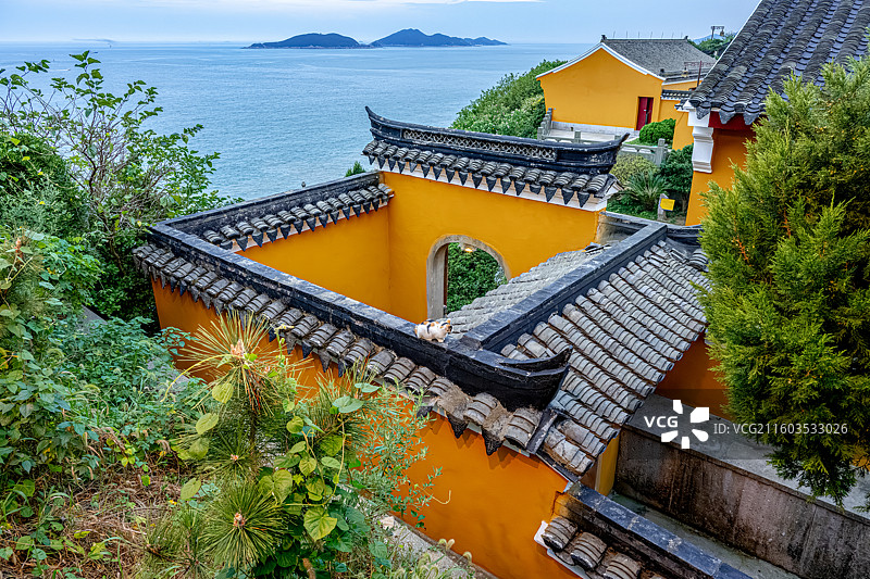 狸花猫蹲在佛院的台阶上 普陀山海天佛国 梵音古洞 梵音洞 普陀十二胜景图片素材