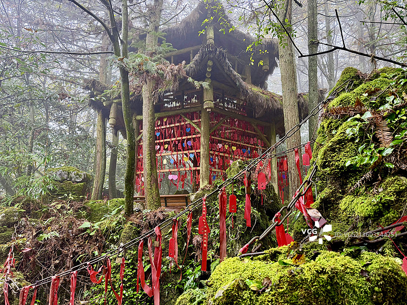 华蓥山森林公园祈福林里挂祈福红丝带，系祈福牌图片素材